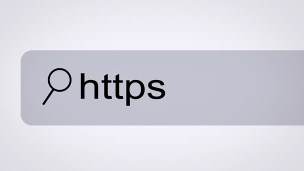 Closeup of a search bar on a computer screen - Séquence, vidéo