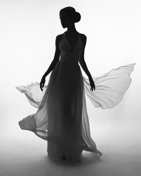 Art fashion studio photo of beautiful elegant woman in blowing dress. Fashion style of flowing dress - Photo, image
