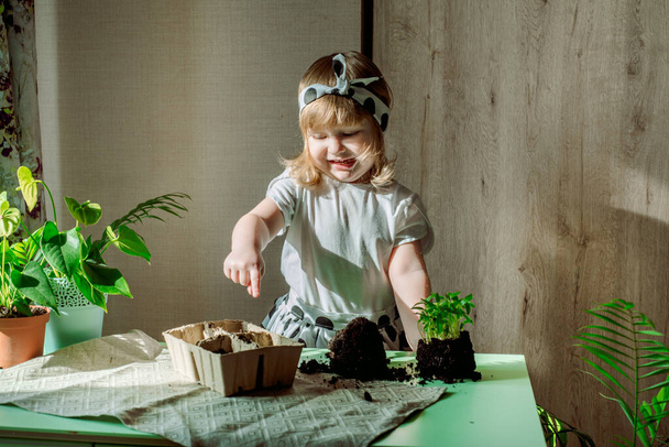 girls transplant flowers.Care for indoor plants. Baby in a polka-dot dress on a background of exotic flowers and palm trees. At home. - Foto, Imagem