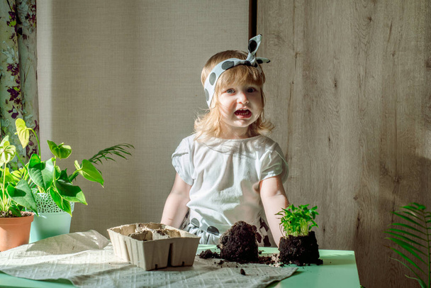 girls transplant flowers.Care for indoor plants. Baby in a polka-dot dress on a background of exotic flowers and palm trees. At home. - Foto, Imagen