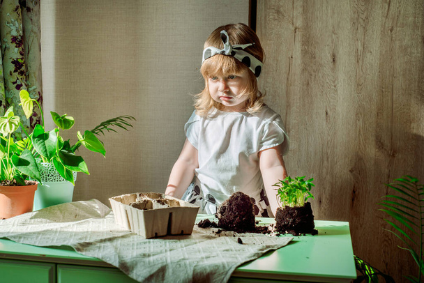 girls transplant flowers.Care for indoor plants. Baby in a polka-dot dress on a background of exotic flowers and palm trees. At home. - 写真・画像