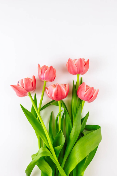 Spring flower background - Φωτογραφία, εικόνα