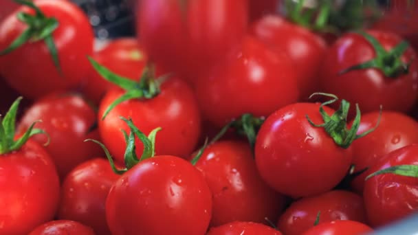 Close-Up Caída de tomate fresco (vegetal) en una cesta con tomates. (Dragón rojo, cámara lenta, filmación de calidad cinematográfica
). - Imágenes, Vídeo