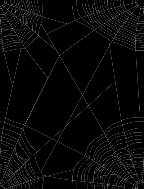 spider white web four corners - Vector, Image