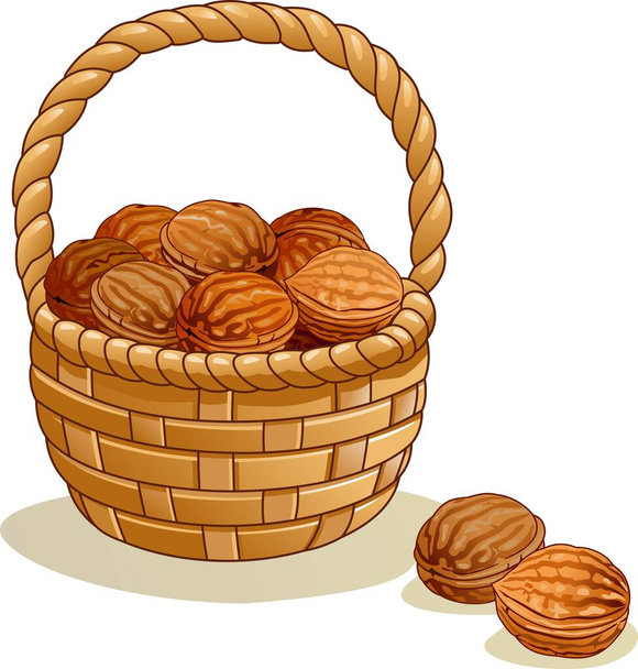 Wicker basket with walnuts isolated on a white background - Vector, Image