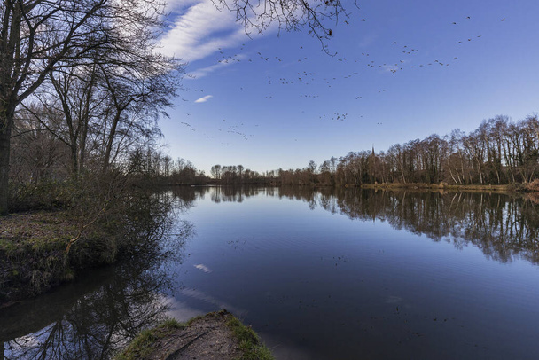 Viersen-Born - View from Lake Born to migrating birds reflected in the water, North Rnine Westphalia, Germany, 30.12.2019 - Photo, Image