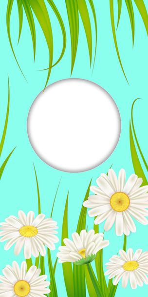 Cartão de primavera de flores florais dentes-de-leão e margaridas, camomilas, fundo de grama. Primavera colorido banner vertical histórias de mídia social papel de parede. Ilustração vetorial isolada
 - Vetor, Imagem