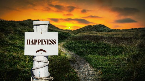 Señal de calle el camino de la dirección a la felicidad
 - Foto, Imagen