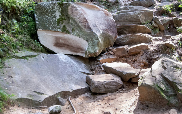 Великі камені в лісі
 - Фото, зображення