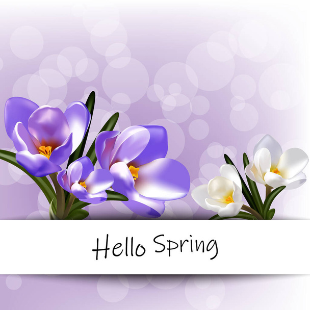 Spring hello, early crocus flowers. Design for poster, postcard. Eps 10 illustration vector - Вектор, зображення