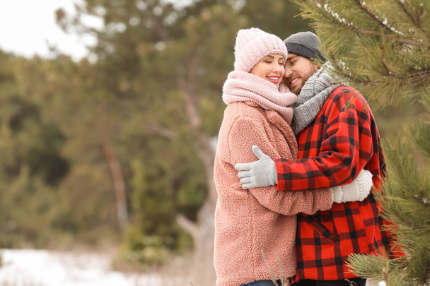 Ευτυχισμένο νεαρό ζευγάρι στο πάρκο την ημέρα του χειμώνα - Φωτογραφία, εικόνα