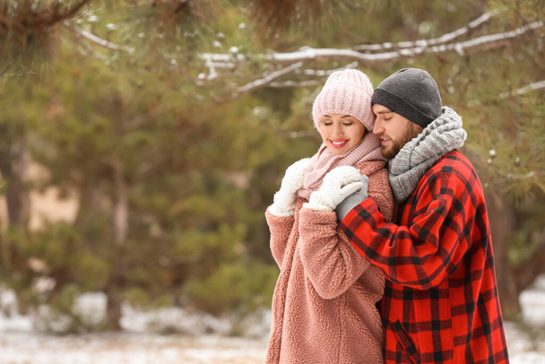 Szczęśliwa młoda para w parku w zimowy dzień - Zdjęcie, obraz