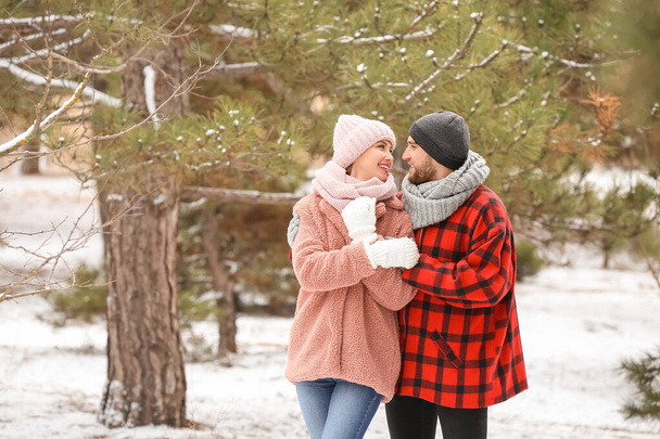 Happy young couple in park on winter day - Photo, Image