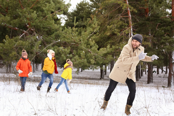 Ευτυχισμένη οικογένεια που παίζει χιονόμπαλες στο πάρκο την ημέρα του χειμώνα - Φωτογραφία, εικόνα