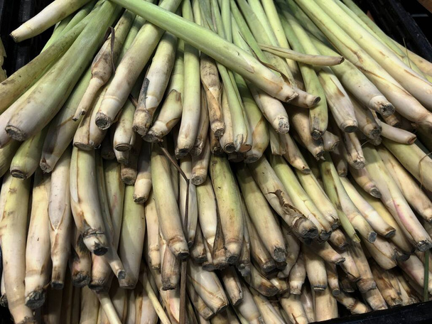Close up of stalks of lemon grass, an aromatic herb for cooking.  - Фото, изображение