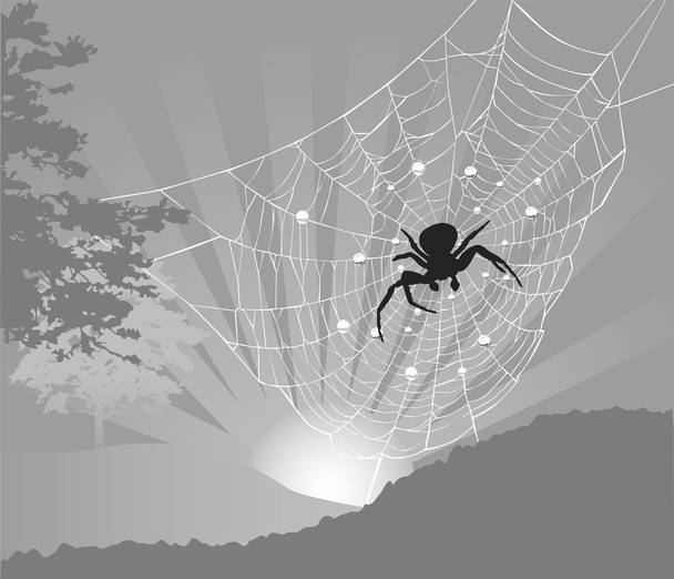 šedá strom a spider web při západu slunce - Vektor, obrázek