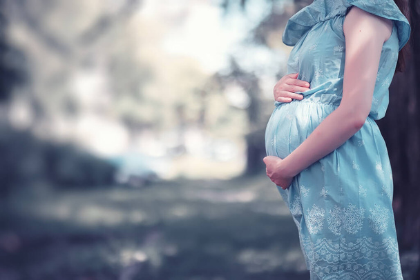 Pregnant girl in a dress in nature on a wal - Photo, Image