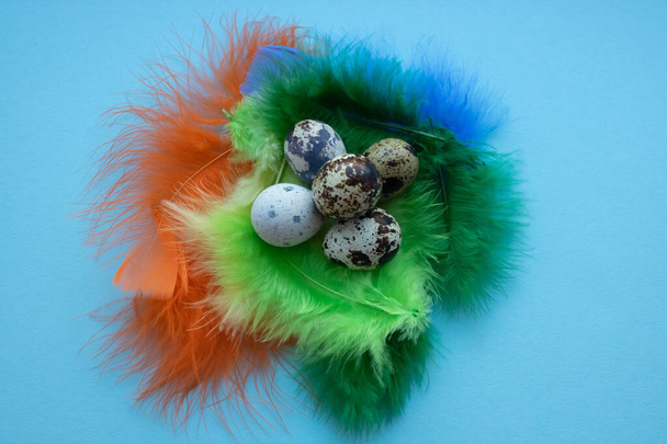 raw quail eggs and feathers in hay close-up. background with quail eggs. easter product - Photo, Image
