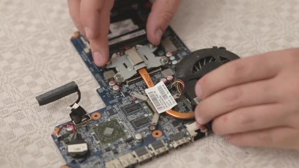 Gros plan de technicien mains réparer ordinateur portable système de refroidissement. - Séquence, vidéo