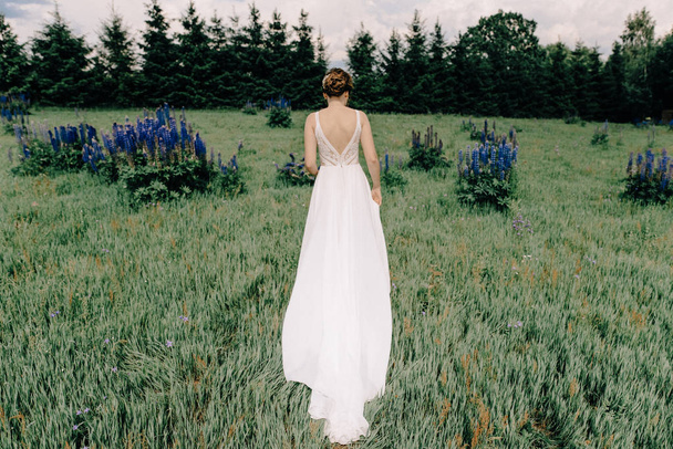 Невеста в парке лицом назад в белом свадебном платье с кружевом и обнаженной спиной. Волосы укладываются в плетеную булочку, дополненную крошечными цветами. Сосредоточься на спине невесты, фон немного не в фокусе - Фото, изображение