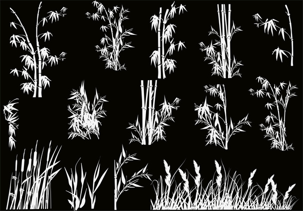 Bambus und andere Pflanzen Sammlung auf schwarz - Vektor, Bild