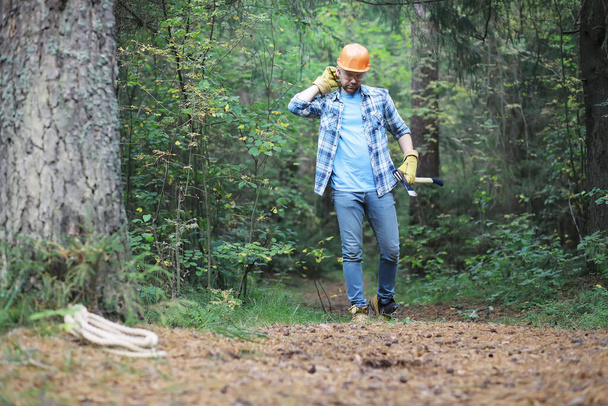 Чоловік лісоруба в лісі. Професійний різак оглядає дерева для вирубки
. - Фото, зображення