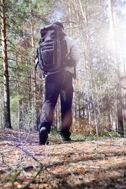 Ein Mann ist Tourist in einem Kiefernwald mit einem Rucksack. eine Wanderung durch den Wald. Kiefernreservat für touristische Wanderungen. ein junger Mann bei einer Wanderung im Frühling - Foto, Bild