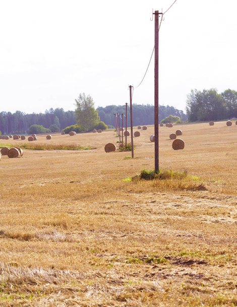 rural landscape with hay bales and power line poles. a brown field, a hill and a forest at the back - Photo, Image