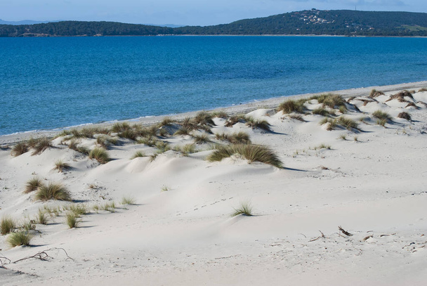 The white dunes of Is Arenas Biancas, Teulada - Φωτογραφία, εικόνα