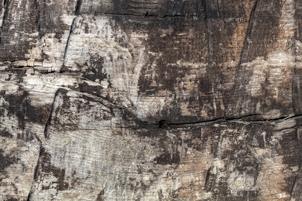 Brownish ραγισμένο κομμένο ξύλο Υφή - Φωτογραφία, εικόνα