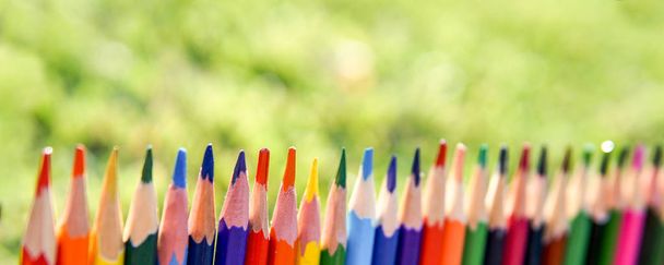 Colorful pencils in a row over natural green background - Foto, Imagem