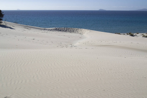 Las dunas blancas de Is Arenas Biancas, Teulada
 - Foto, Imagen