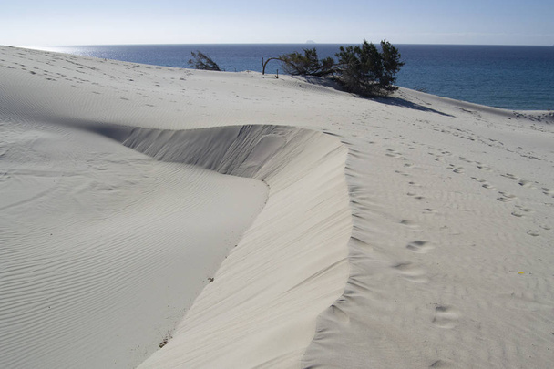 白い砂丘はアレナス・ビアンカ、テウラーダです。 - 写真・画像