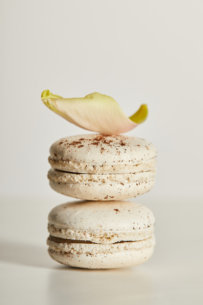 delicious vanilla french macaroons with petal on white background - Photo, Image