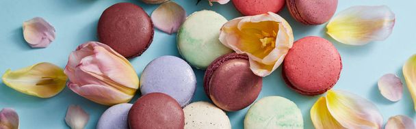 top view of assorted delicious french macaroons with floral petals on grey background, panoramic shot - Photo, Image