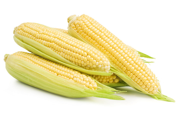 Corn - Foto, Bild