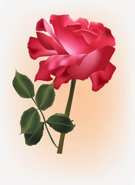 одна красная роза с зелеными листьями
 - Вектор,изображение