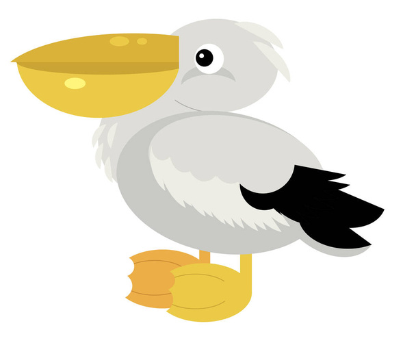 Карикатура Американская птица пеликан животных на белом фоне иллюстрация для детей
 - Фото, изображение