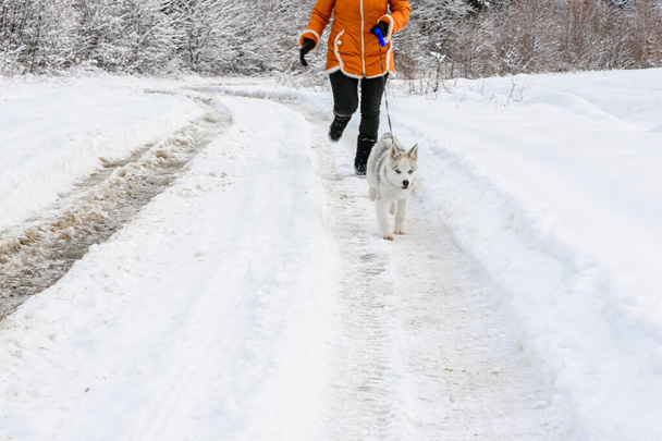 Beautiful woman in orange jacket with husky puppy running through forest road.2020 - Photo, Image