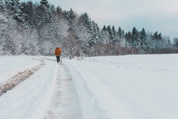 Młoda kobieta robi poranny bieg z husky szczeniaka w lesie zimowym.2020 - Zdjęcie, obraz