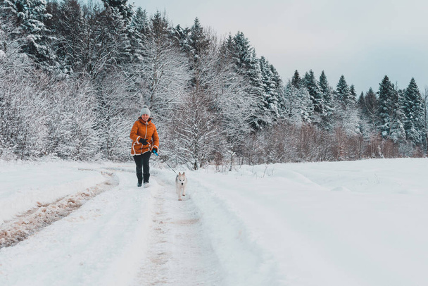 Młoda kobieta robi poranny bieg z husky szczeniaka w lesie zimowym.2020 - Zdjęcie, obraz