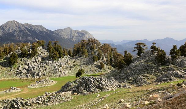 Солнечный пейзаж с скалистым лугом в горах. Путь к горам Тахтали Даги, Туристический маршрут Famius Likya Yolu в Турции
 - Фото, изображение