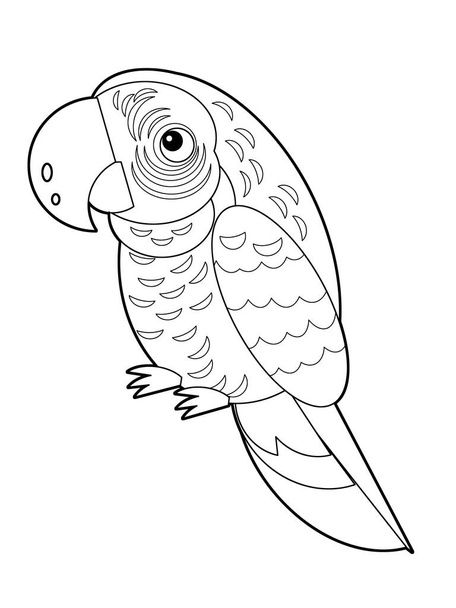 Cartoon skicák americký zvířecí pták papoušek na bílém pozadí ilustrace pro děti - Fotografie, Obrázek