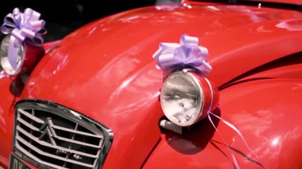Wedding ribbons of purple color on vintage polished red car under the bright sun. Action. Close up of a retro car hood decorated for celebration. - Video