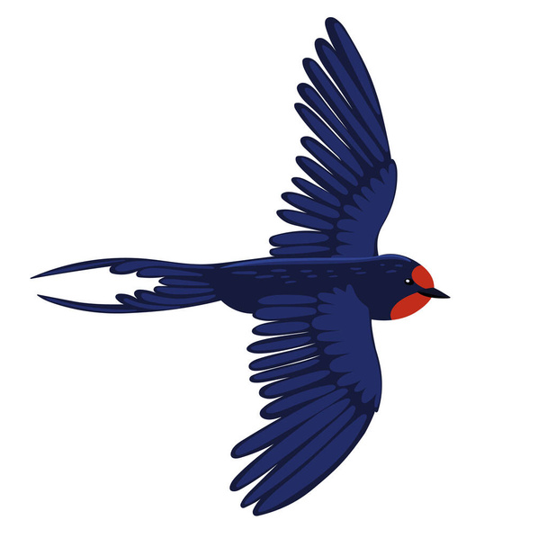 Swallow in flight isolated on a white background. Vector image - Vector, Image