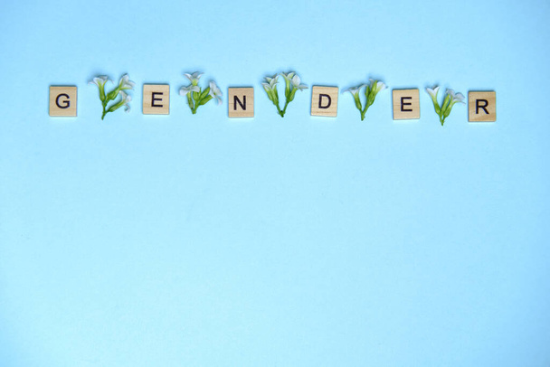 Слово гендер, зображене за допомогою дерев'яних блоків і квітів на барвистому синьому фоні
 - Фото, зображення