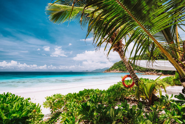 Tropical scene of beautiful white sand beach, turquoise ocean lagoon and foliage. Vacation in paradise. Mahe Island, Seychelles - Foto, afbeelding