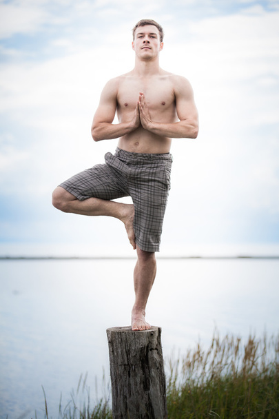 Young Adult Doing Yoga on a Stump in Nature - Фото, изображение