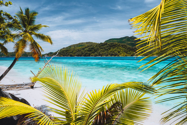 休暇の休日の背景エキゾチックな壁紙。熱帯のビーチでヤシの木。青い海のラグーンと白い雲と空 - 写真・画像