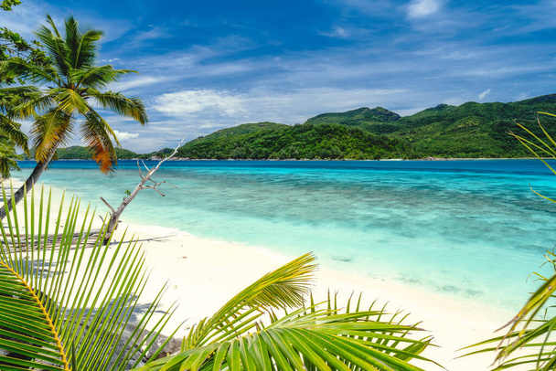 Vakantie vibe exotisch behang. Palmbomen op tropisch strand. Blauwe oceaan lagune en lucht met witte wolken - Foto, afbeelding